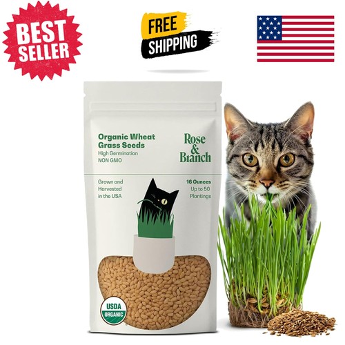 Easy grow 16oz - easy,